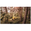 Robens Wing Tarp - Image 13